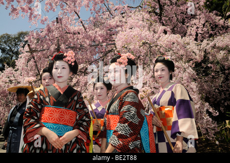 Le donne giapponesi in kimono, processione partecipanti, Hirano Santuario, Kyoto, Giappone, Asia orientale, Asia Foto Stock