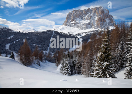 Sassolungo montagna (3181m), Val Gardena, Dolomiti, Alto Adige, Trentino Alto Adige, Italia Foto Stock