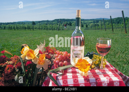 Grandi vigneti, una bottiglia di vino e un bicchiere di vino, su un rosso tovaglia controllati, nei pressi di Charlottesville, Virginia Foto Stock