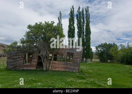 Abbandonato casa in legno in un prato, Patearoa, Isola del Sud, Nuova Zelanda Foto Stock