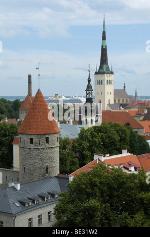 Tallinn, Estonia, Europa Foto Stock