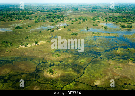 Veduta aerea di Okavango Delta, Botswana Foto Stock