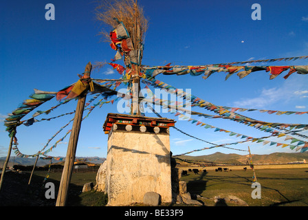 Il Tibetano chorten con bandiere di preghiera di fronte yak (Bos mutus), yak tibetani, pascolo su un altopiano prato davanti di un oriente Foto Stock