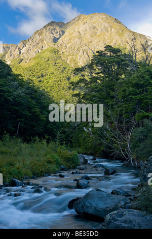 Ruscello di montagna in Nuova Zelanda giungla di fronte la luminosa Mount Cashel, Isola del Sud, Nuova Zelanda Foto Stock