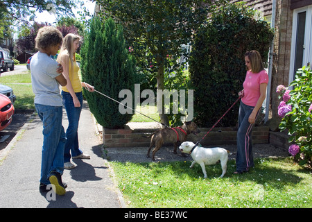 Vicini con staffordshire bull terrier chiacchierando in strada Foto Stock