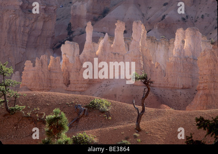 Bryce Canyon dello Utah, Stati Uniti d'America Foto Stock