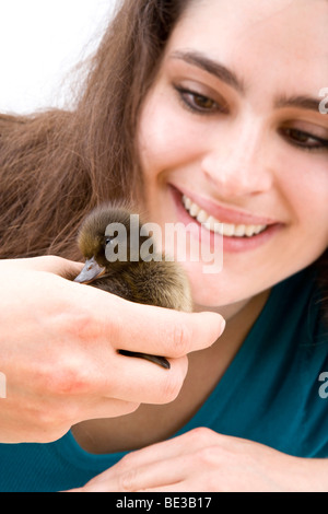 Ragazza con un anatra, drake, chick Foto Stock