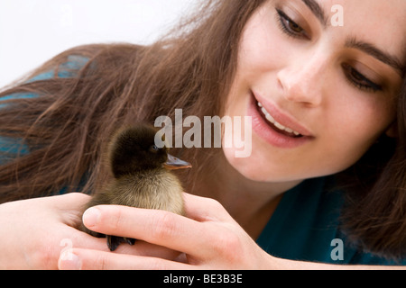 Ragazza con un anatra, drake, chick Foto Stock