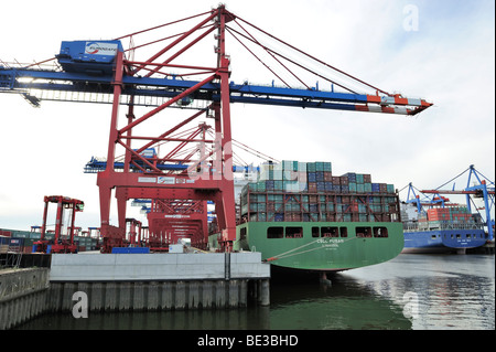 Nave container essendo caricati al Eurogate, Amburgo, Germania, Europa Foto Stock