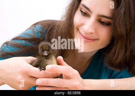 Ragazza con un anatra, drake, chick Foto Stock