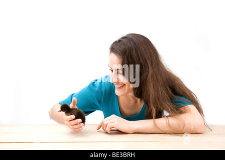 Ragazza con un anatra, drake, chick Foto Stock