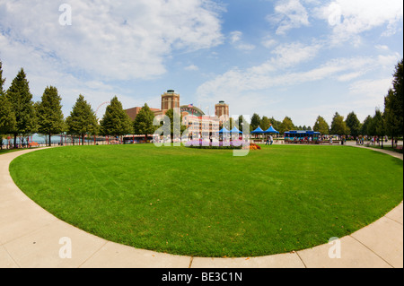 Il Navy Pier nel centro di Chicago Foto Stock