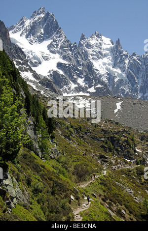 Sentiero escursionistico sul massiccio del Monte Bianco a Chamonix-Mont-Blanc, Francia, Europa Foto Stock