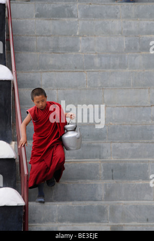 Monastero Thikse, debuttante tenendo burro tè all'oratorio, Ladakh, Jammu e Kashmir India del Nord, Himalaya, Asia Foto Stock