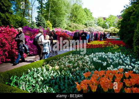 Keukenhof in primavera, attrazione per molti turisti di tutto il mondo, Paesi Bassi Foto Stock