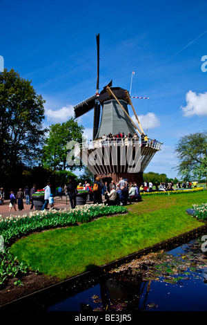 Keukenhof molla della mostra è la più grande del mondo di aria aperta mostra floreale e corre da circa la fine del mese di Marzo al mese di maggio. Foto Stock