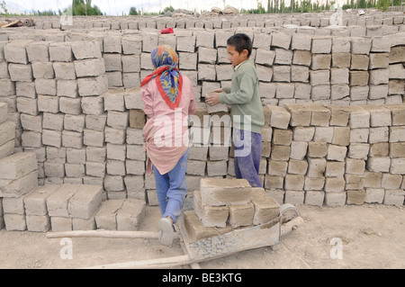 I bambini di mattoni di impilaggio in una fornace che produce aria-mattoni essiccati nella valle dell'Indo, Traktok, Ladakh, India, Himalay Foto Stock