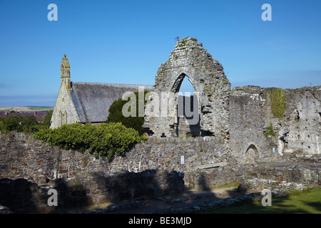 St Dogmaels Abbey, St Dogmaels, Ceredigion, West Wales, Regno Unito Foto Stock