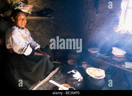 Il contadino, il lago Titicaca, Perù, Sud America Foto Stock