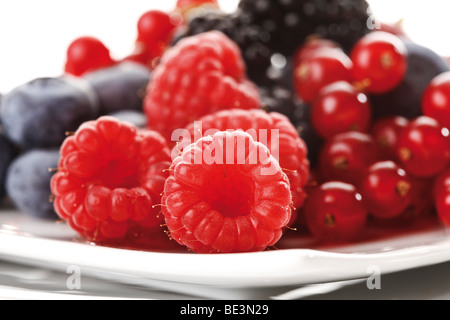 Frutti di bosco su una piastra, lamponi, more, mirtilli e ribes Foto Stock