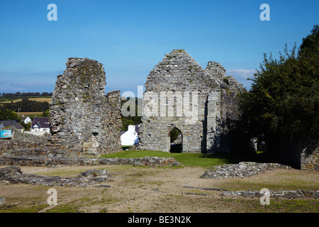 St Dogmaels Abbey, St Dogmaels, Ceredigion, West Wales, Regno Unito Foto Stock