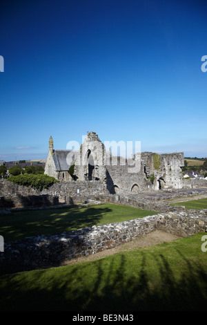 St Dogmaels Abbey, St Dogmaels, Ceredigion, West Wales, Regno Unito Foto Stock