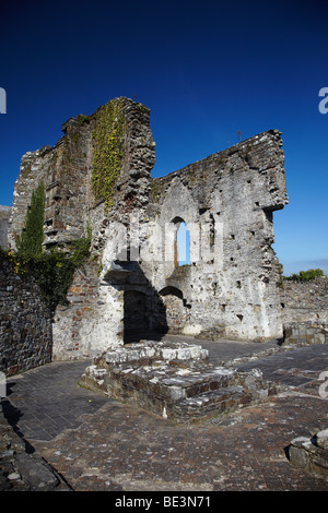 St Dogmaels Abbey, St Dogmaels, Ceredigion, West Wales, Regno Unito Foto Stock