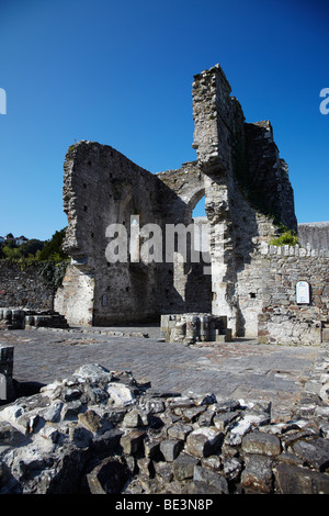 St Dogmaels Abbey, St Dogmaels, Ceredigion, West Wales, Regno Unito Foto Stock