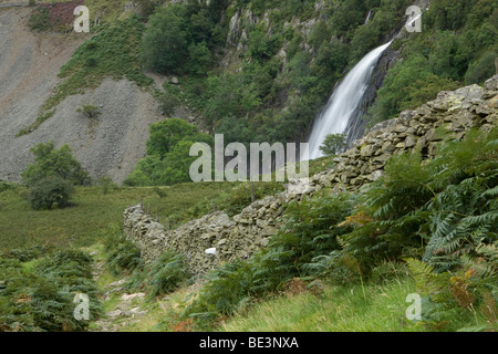 Il sentiero di una cascata denominata Aber cade in Coedydd Riserva Naturale Nazionale, Wales, Regno Unito Foto Stock