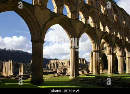 Abbazia di Rievaulx Foto Stock