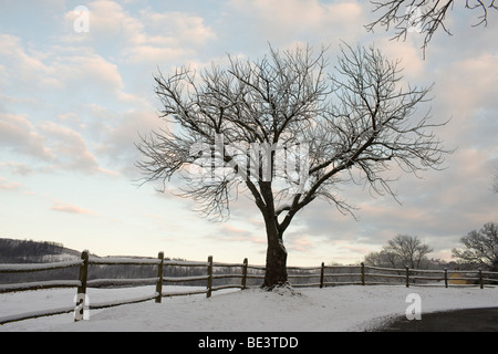 Nevicata oltre Ash Lawn, la casa di trova a Charlottesville, VA. Foto Stock