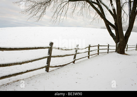 Nevicata oltre Ash Lawn, la casa di trova a Charlottesville, VA. Foto Stock