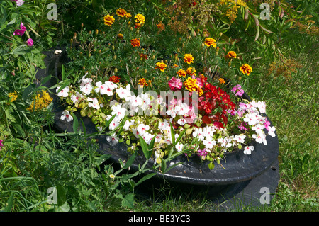 Fiori in un vecchio motore a vapore a camino, Ropley Mid-Hants ferrovia in Hampshire, Inghilterra. presi in autunno di gala in settembre 2009 Foto Stock