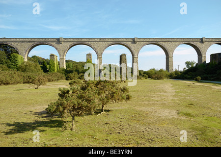 Carnon Valle viadotto ferroviario Foto Stock