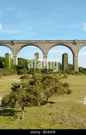 Carnon Valle viadotto ferroviario Foto Stock