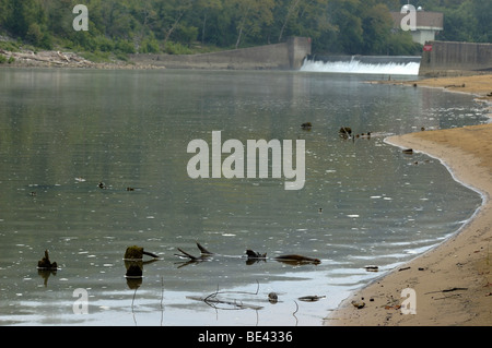 Spiaggia di sabbia sotto la serratura e diga numero 10 sul fiume Kentucky a Fort Boonesborough State Park in Kentucky, Stati Uniti d'America Foto Stock