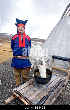 Sami anziani uomo in abbigliamento tradizionale si distingue per la sua tenda con una delle sue renne vicino alla cittadina di Honningsvag, Norvegia. Foto Stock