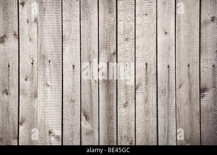 Legno rurale grunge ruvida struttura grigio con chiodi Foto Stock