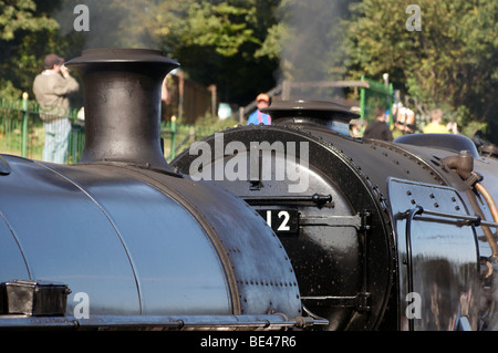 Treni a vapore sul Mid-Hants ferrovia in Hampshire, Inghilterra. presi in autunno di gala in settembre 2009 Foto Stock