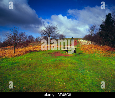 Clent Hills Worcestershire West Midlands con panca sulla collina Foto Stock