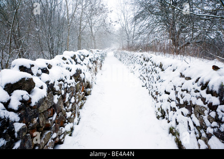 Una coperta di neve il sentiero tra stalattite pareti in esecuzione attraverso il bosco in prossimità di Hartington, Foto Stock