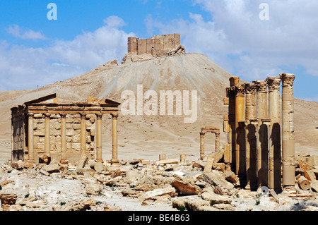 Rovine di Palmyra sito archeologico, nel retro castello Qala a Ibn ma'n, Tadmur, Siria, Asia Foto Stock