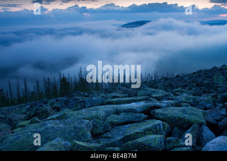 Umore nuvoloso sul picco di montagna Lusen, Parco Nazionale della Foresta Bavarese, Baviera, Germania, Europa Foto Stock