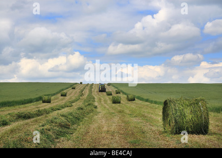 Pressatura di fieno in un campo utilizzando un trattore e una rotopressa. Foto Stock