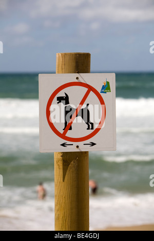 I cani non sono ammessi sulla spiaggia segno in Lacanau Ocean sull'Atlantico costa sud-ovest della Francia nella regione di Bordeaux Foto Stock