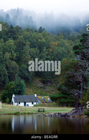 Foresta Rothiemurchus e Visitor Center adiacente al Loch un Eilein nelle Scottish Cairngorm Mountains con nebbia di mattina in forsest Foto Stock