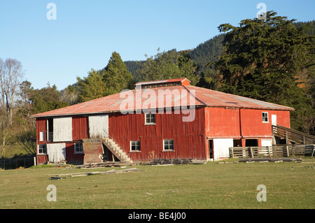 Vecchio capannone di taglio vicino a Waimate, Canterbury sud, Isola del Sud, Nuova Zelanda Foto Stock