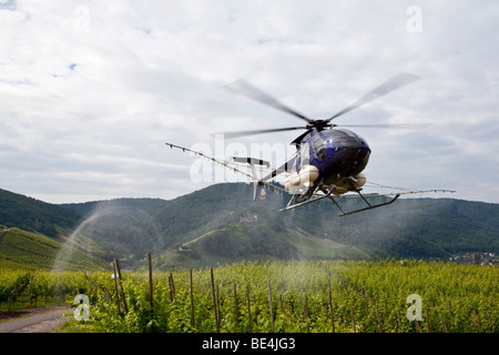 Un elicottero di vino di spruzzatura lungo il fiume Moselle con un agente contro infestazioni fungine in luoghi di difficile accesso in th Foto Stock