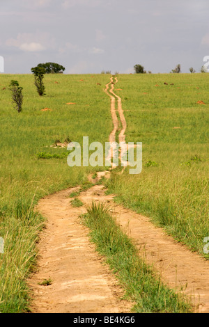 Vista lungo una strada sterrata in Murchison Falls National Park in Uganda. Foto Stock