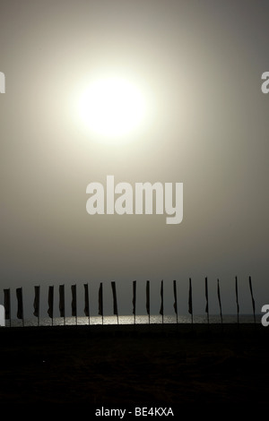 Blocchi a torre sulla spiaggia di Jumeirah a Dubai Foto Stock